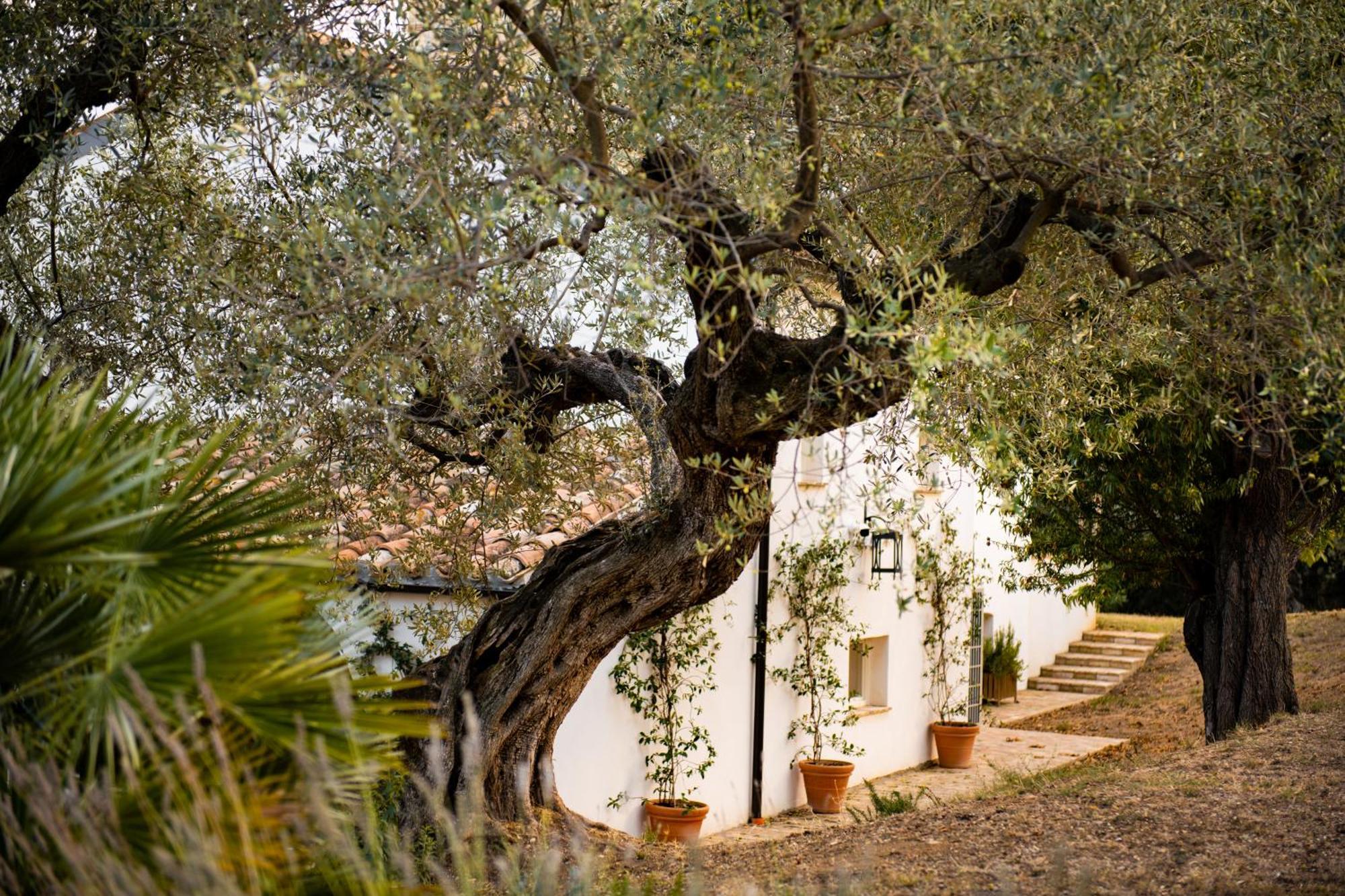Casale Delle Lavande Citta Sant'Angelo Exterior photo